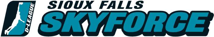 Sioux Falls Skyforce 2006-2012 Wordmark Logo v2 iron on transfers for T-shirts